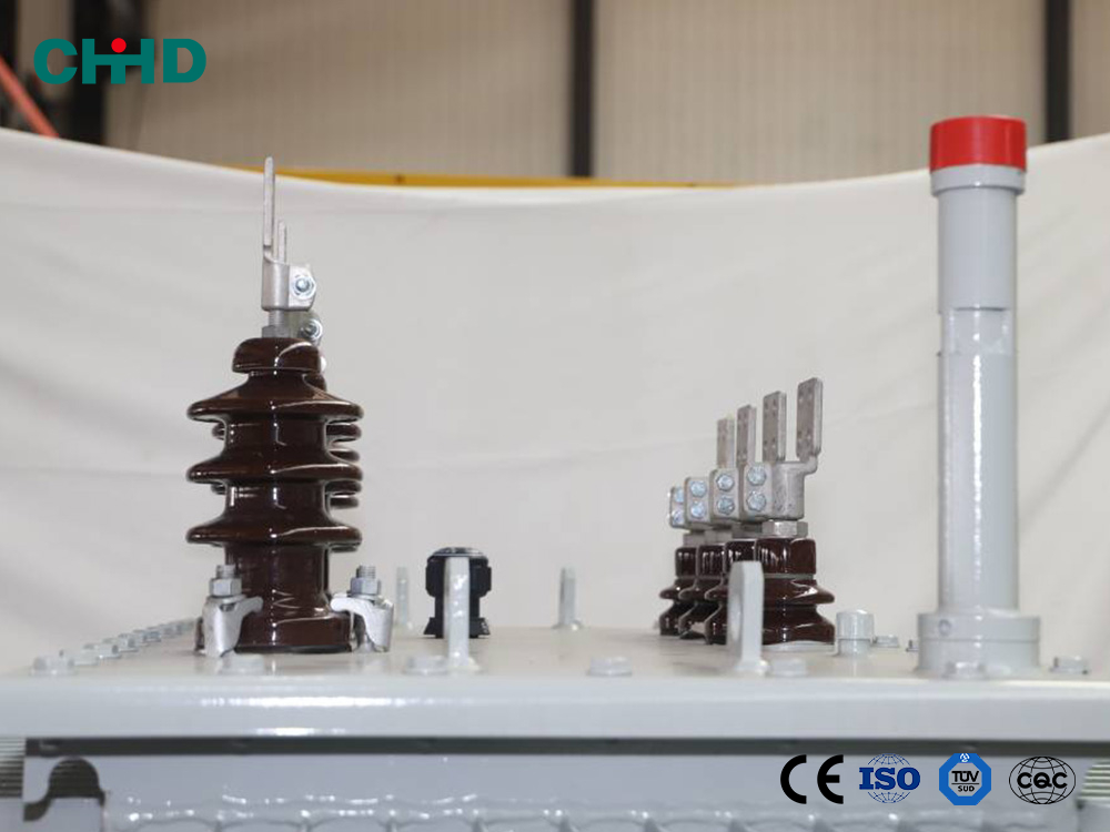 Oil-Immersed Transformer