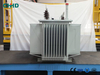 Oil-Immersed Transformer